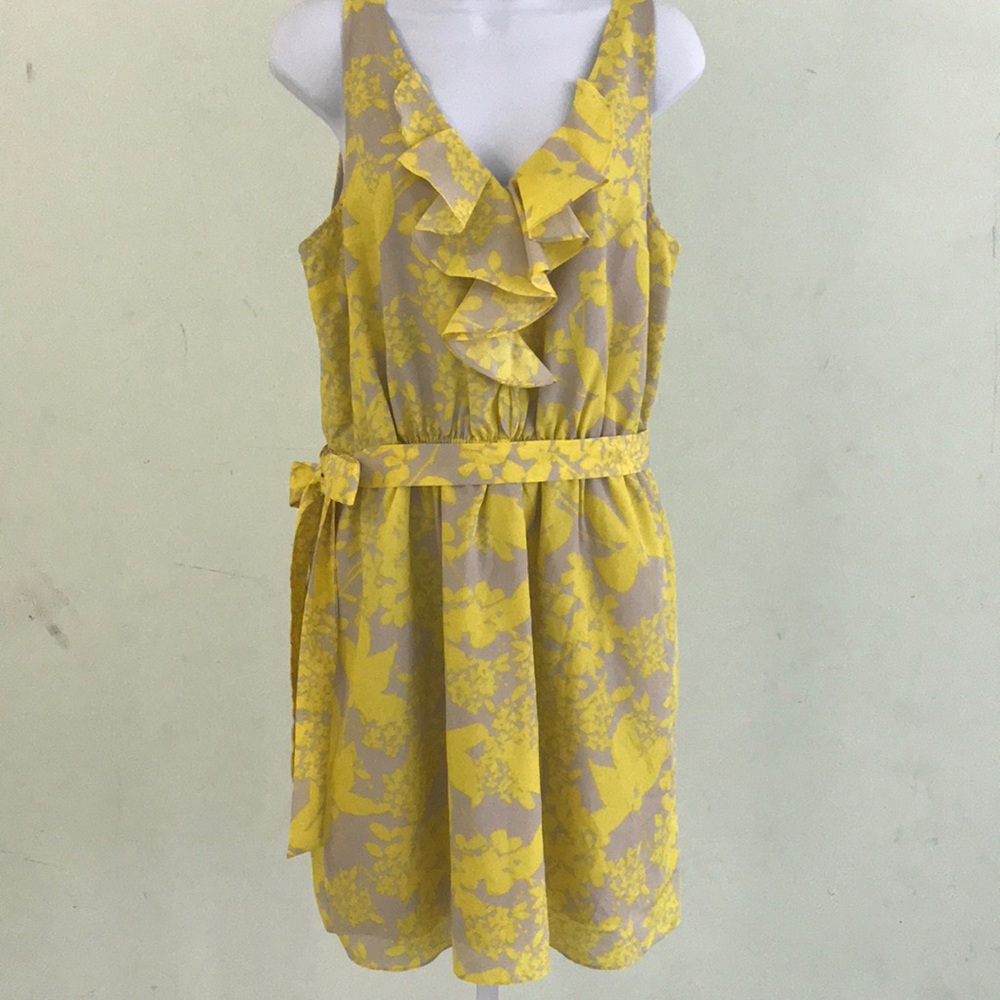 Express dress